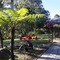 Cedar Creek Lodges - map
