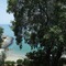 Sheraton Djibouti - map