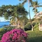 Gallows Point Resort - map