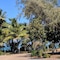 By The Sea Port Douglas - map