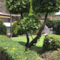 Grupo Kings Suites Duraznos - map