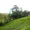 Yeh Panes Bali - map