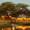Elandela Private Game Reserve & Luxury Lodge - map