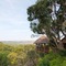 Woodbury Lodge - Amakhala Game Reserve - map