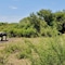 Motswiri Private Safari Lodge - map
