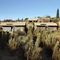 The Olive Exclusive All-Suite Hotel - map