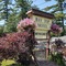 Bay Top Motel - map