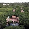 Manglex Eco Hotel Tulum - map