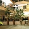 Hotel Shiraz Continental - map