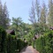 The Delight Pine Tree Village - map