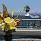 The Avalon Hotel On Catalina Island - map