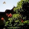 Sa Pedrera Country Hotel - map