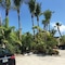 Palm Tree Villas - map