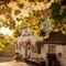 The White Lion - map