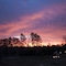 Holiday Inn Club Vacations Villages Resort At Lake Palestine By Ihg - map