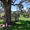 The Laurels B&B Kangaroo Valley - map