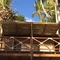 Cocos Camp - map