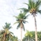 Shell Villa Apartel Resort - map