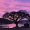 Piwaka Lodge And Backpackers - map