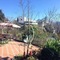 Sapa Garden Resort - map