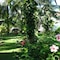 Four Oceans Resort Muine - map