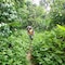 Explorer By Eco Team - Sinharaja - map
