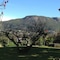 Paarl Nuwerus Lodge - map