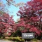 Hotel Laforet Nasu - map