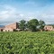 Cavanera Etnea Resort & Wine Experience - map