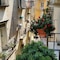 Camere Primavera B&B - map
