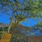 Seeking - Alishan Sunrise - map