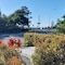 Nova Mooloolaba Beach - map
