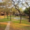 The Tree Lodge At Sikumi - map