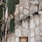 Coqui Coqui Papholchac Coba Residence & Spa - map