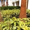 Robinson Cabo Verde - Adults Only - map