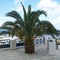 Aegean View Hotel - map