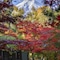 Fujisan Onsen Hotel Kaneyamaen - map