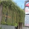 Front One Resort Magelang - map