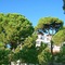 Altis Resort Hotel & Spa - map