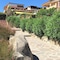 Baia De Bahas Apartments & Resort - map