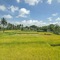 Danakha Villa Ubud - map