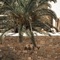 Asty Mykonos Hotel & Spa -World Of One Hotel Group - map