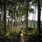 Jw Marriott Jeju Resort & Spa - map