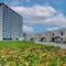Royal M Resort Al Aqah Beach Resort - map
