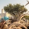 Nilea Island Living - map
