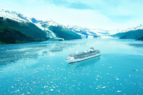 imagem Coral Princess 3