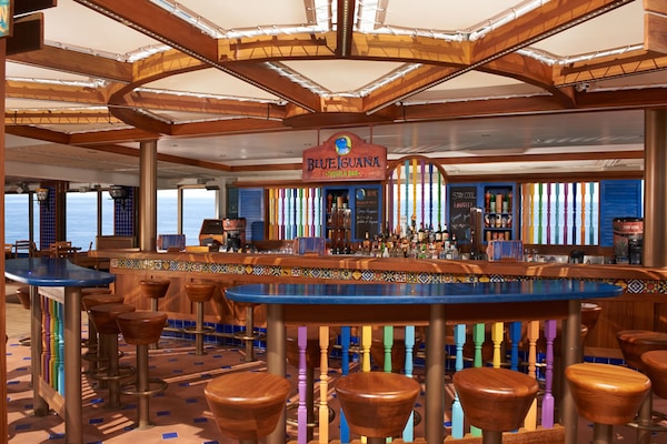 imagem Carnival Liberty 12