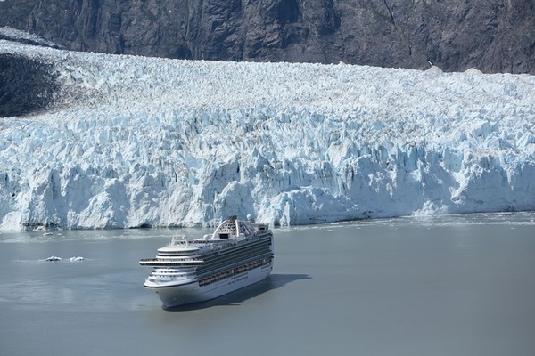 imagem Crown Princess 15
