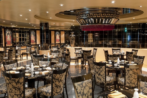 imagem MSC Magnifica 16