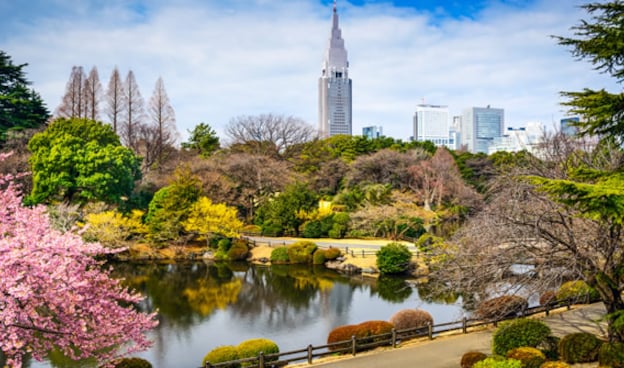 Tóquio: na vanguarda